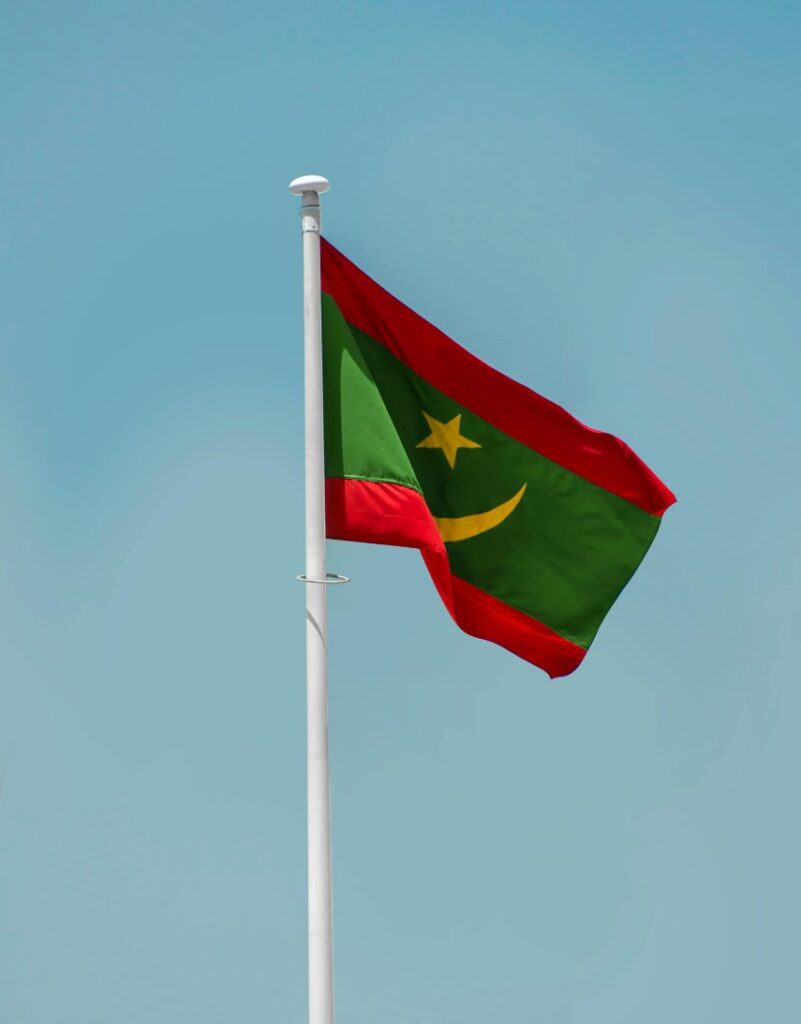 diseño sin título (3) diseño sin título (3)